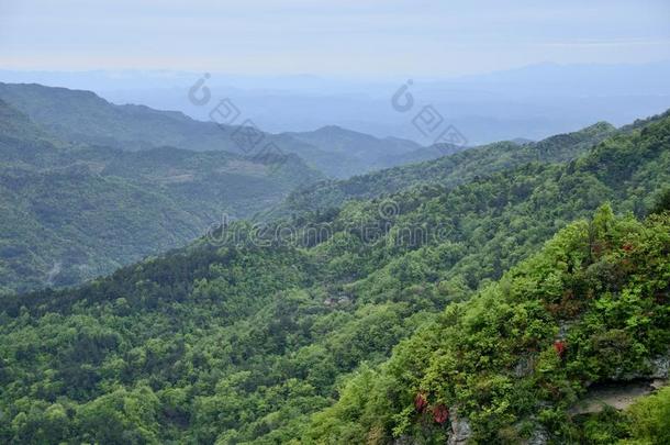 中国湖北武当山