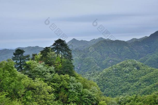 中国湖北武当山