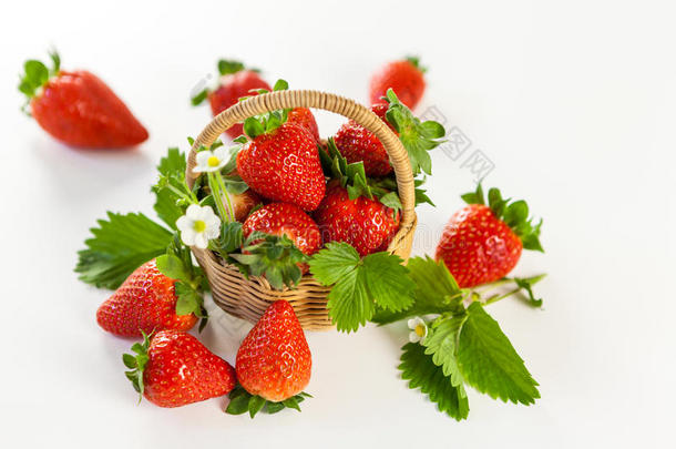 新鲜成熟的草莓，叶子和花朵