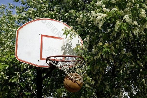 篮球.篮板<strong>春风</strong>化雨