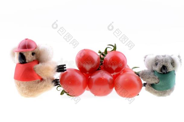 收集樱桃番茄的玩具考拉