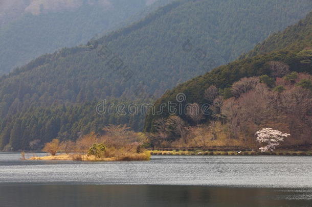 塔努基湖