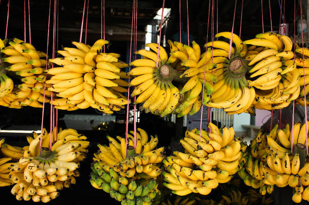 <strong>开</strong>胃的安排背景香蕉植物学