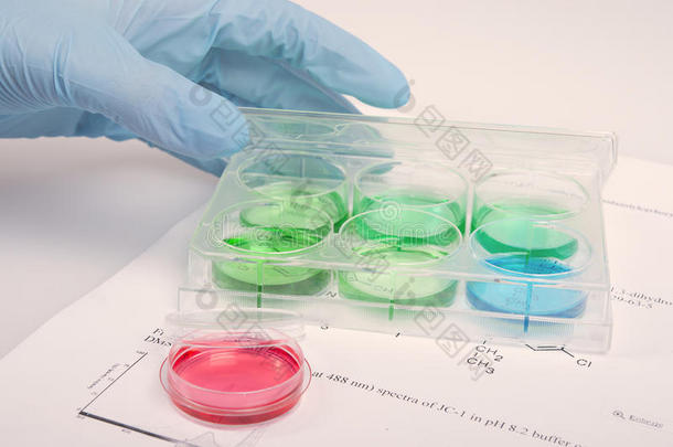 生化研究实验室细胞培养的科学家染色