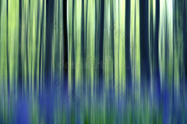 蓝铃森林抽象