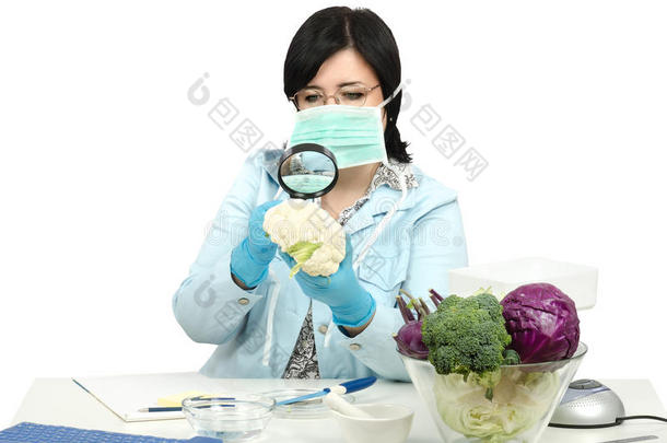 专家在实验室里仔细观察花椰菜