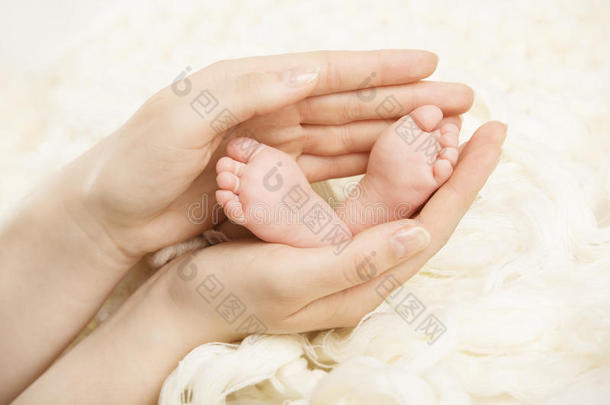 新生儿的脚放在母亲的手上。新生儿和父母