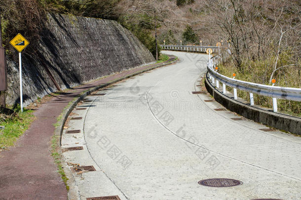 森林里的柏油路。