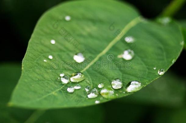 雨后