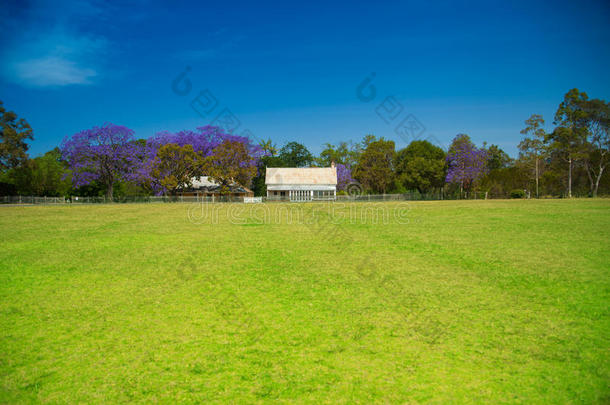 草原上有白色篱笆和树木的房子
