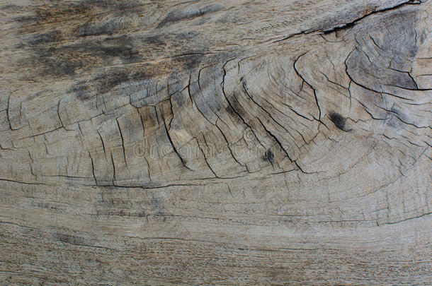 古老的木材纹理。