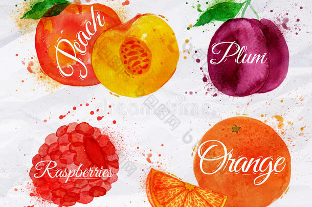水果水彩画桃子，覆盆子，李子，橘子