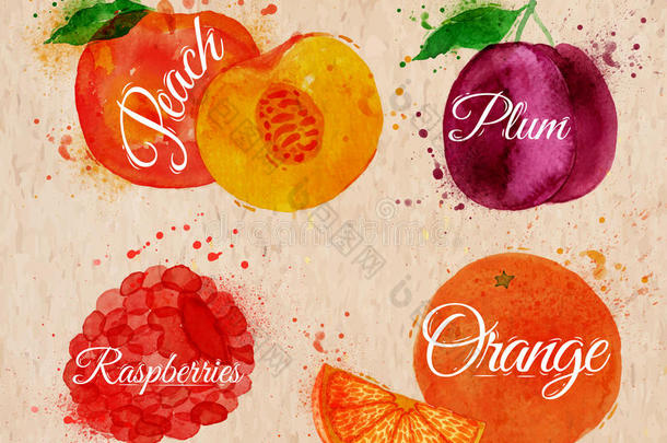 水果水彩画桃，覆盆子，李子，橘子