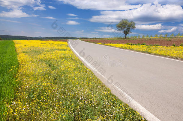 在空旷的柏油路上行驶，穿过田园风光