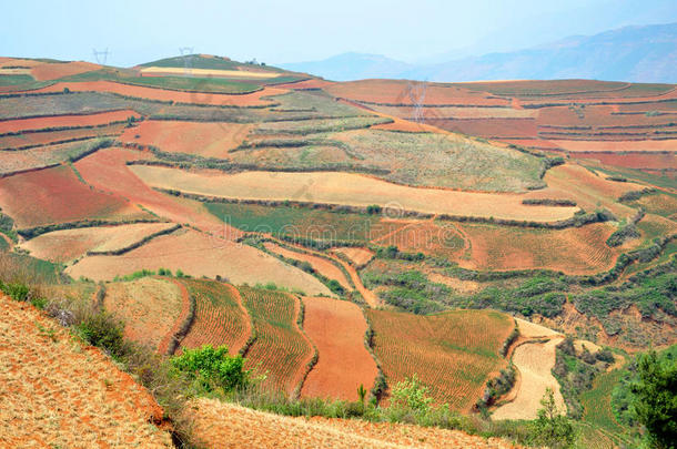 东川<strong>红土地</strong>