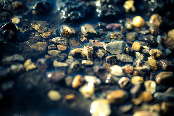河床上的石头