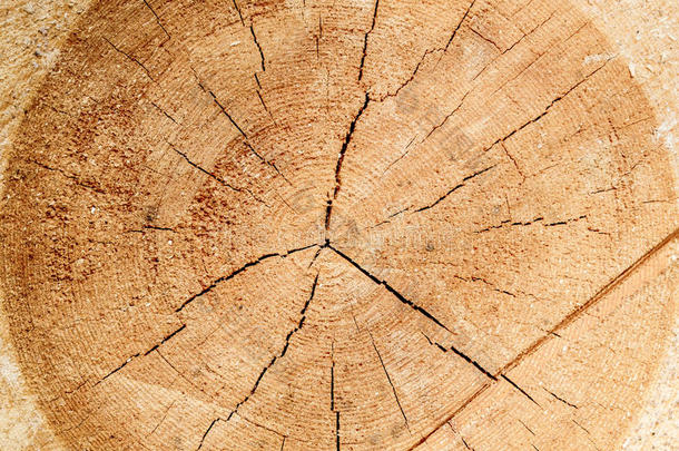 切割过的木头，木头的纹理