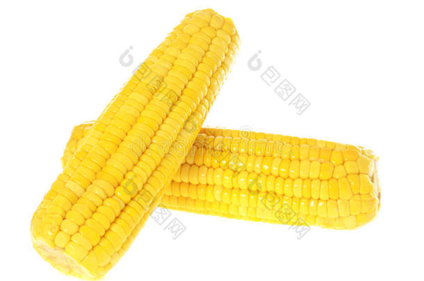 成熟的黄色玉米分离在白色