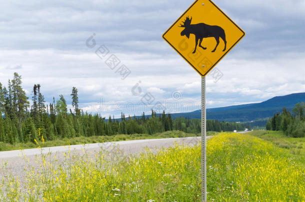 公路警告路<strong>标注</strong>意驼鹿穿越