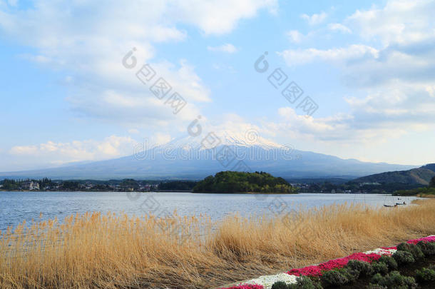 富士山，川口子湖风景