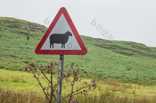 羊过马路路标警告