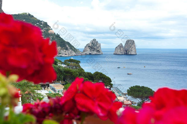 卡普里岛，背景为法拉利奥尼的红色天竺葵。