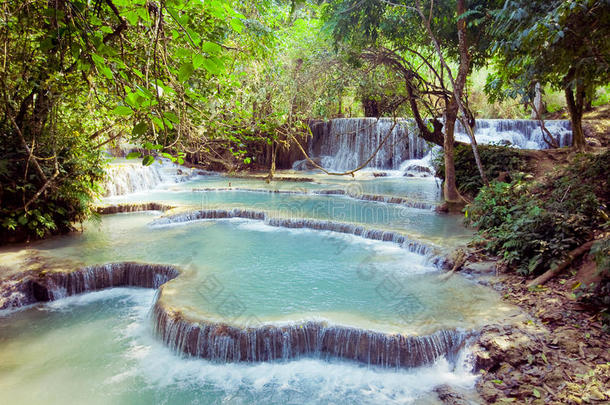 老挝森林深处的匡泗瀑布