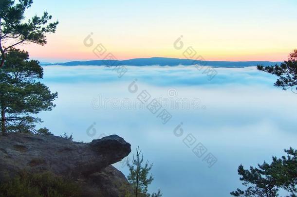 清晨的景色越过岩石和新鲜的绿树，到达充满浅蓝色薄雾的深谷。拂晓梦幻春色