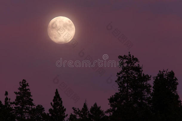 蓝色的月亮。《满月》2013年8月19日，俄勒冈州，斯喀斯喀斯基尤国家公园