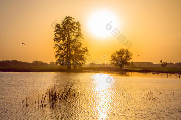 夕阳下美丽的春色背景场