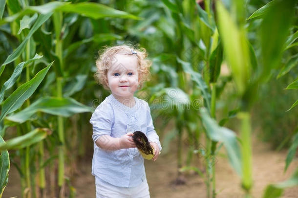 金发卷发的小女孩在玉米地里奔跑