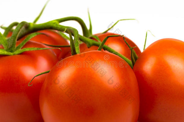 成熟的新鲜红番茄