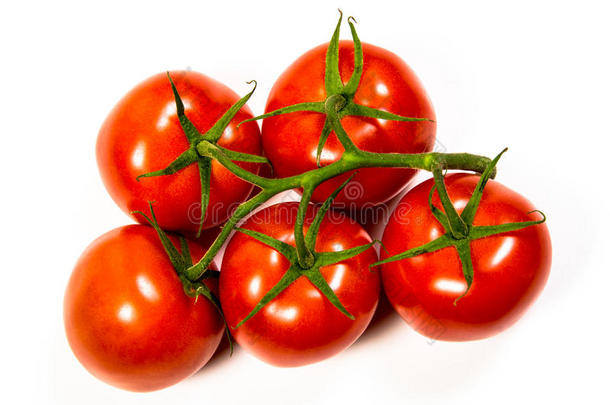 成熟的新鲜红番茄
