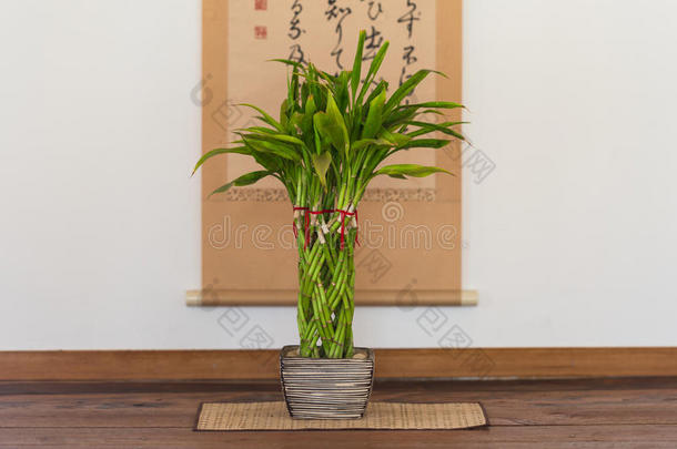 日本螺旋植物花瓶