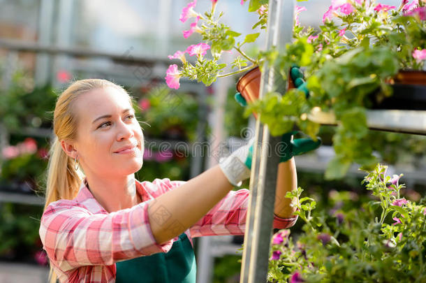 花园中心的女工人拿着盆花