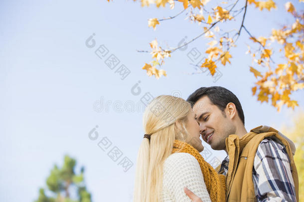 秋日情侣亲吻晴空的低角度照片