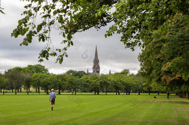 爱丁堡公园梅树草地