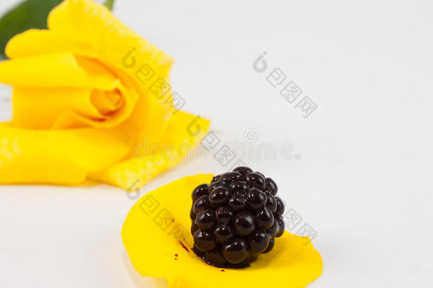 黄玫瑰瓣黑莓