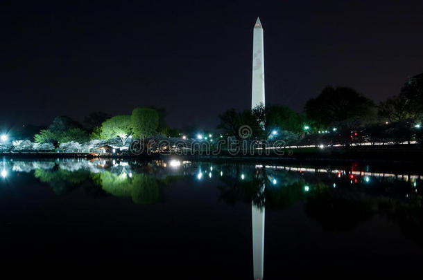 华盛顿特区-华盛顿纪念碑倒映在潮汐盆地