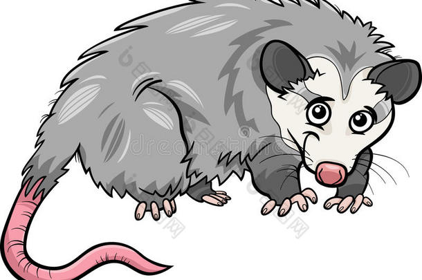 <strong>负鼠</strong>动物卡通插图