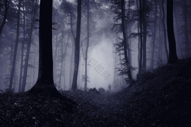 雾笼罩的阴森森林里的人