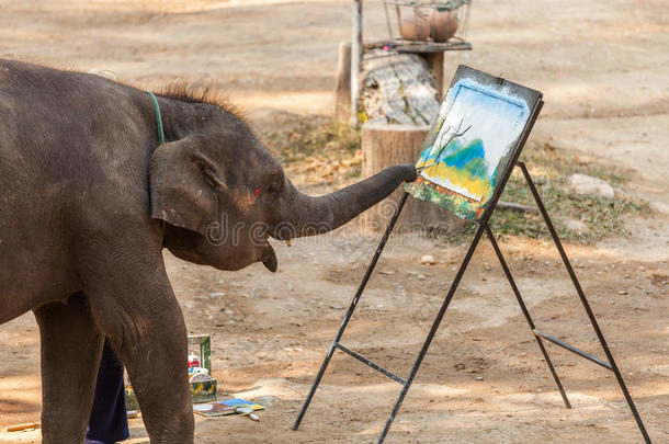 泰国大象绘画展