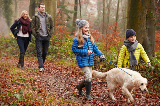 家庭遛狗穿越冬季林地