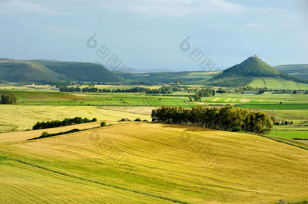 黄绿草原风景