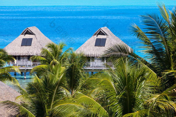 波利尼西亚风景-海边有棕榈树和小房子在水面上。