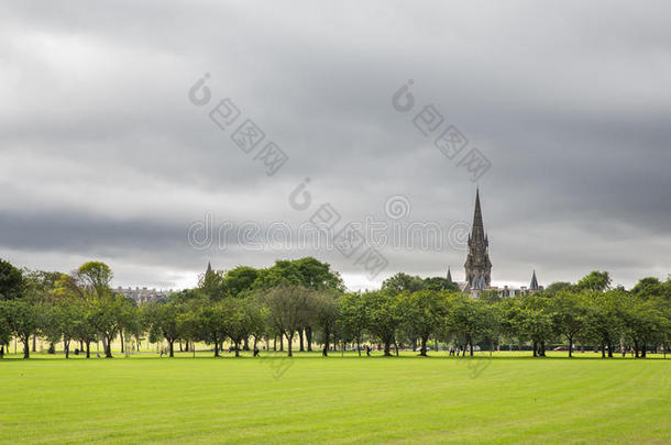 爱丁堡公园梅树草地