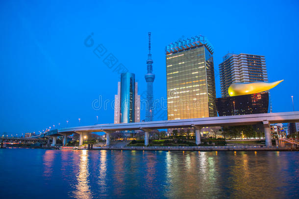 东京城和东京天空树黄昏