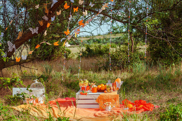 夏天用橘子和柠檬水装饰野餐