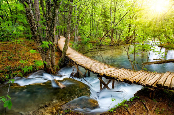 森林深处的小溪，<strong>阳光下</strong>清澈的河水。克罗地亚普里特维兹湖
