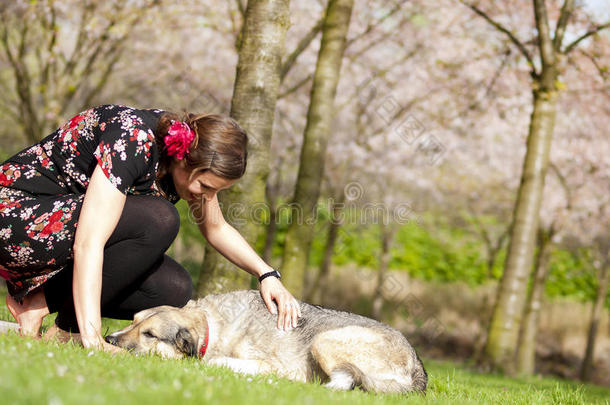 美丽的女孩在春天散步时<strong>抚摸</strong>她的狗